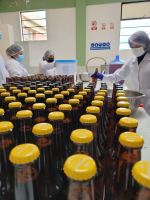 diplomadotecnologiabebidasv1.milaulas.com